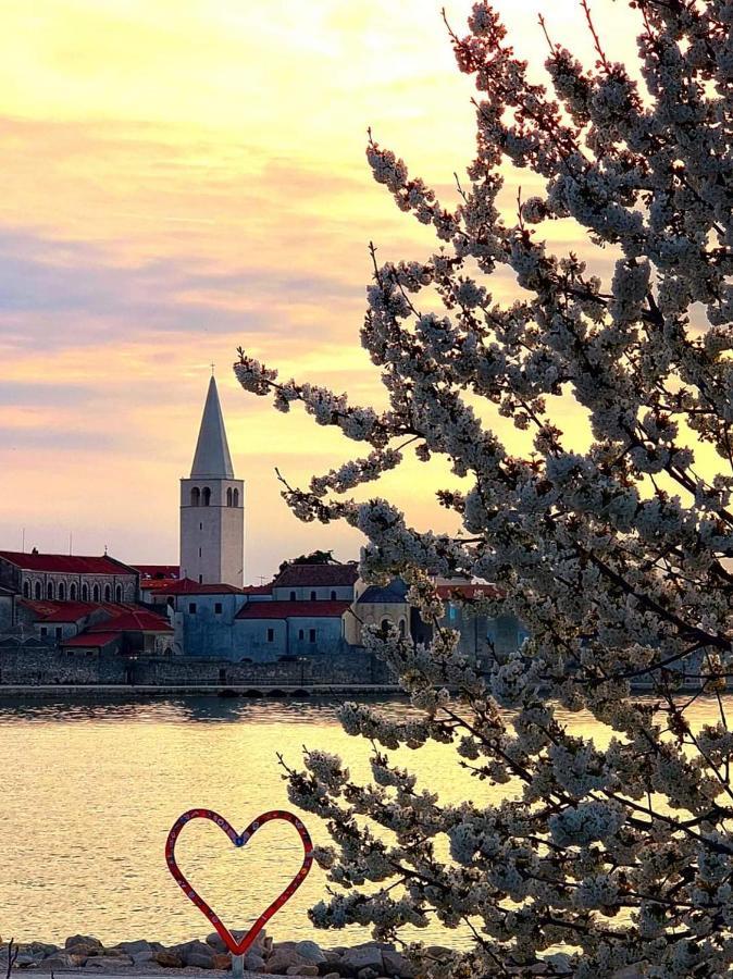 Apartman Perla Deluxe Poreč Eksteriør billede
